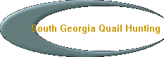 South Georgia Quail Hunting